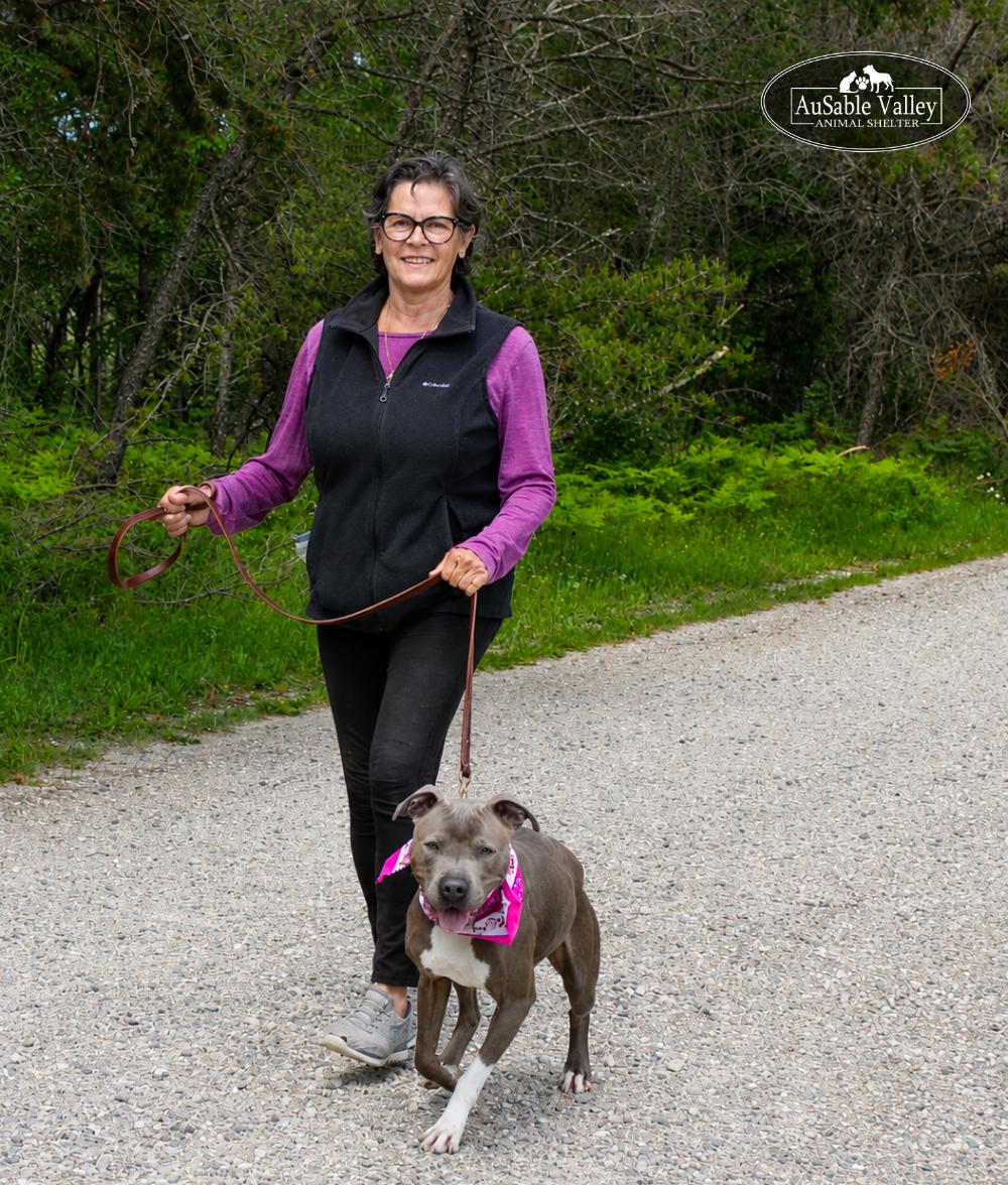 Enlarge Layla, a ADOPTABLE mixed breed in Grayling, MI image 5/6