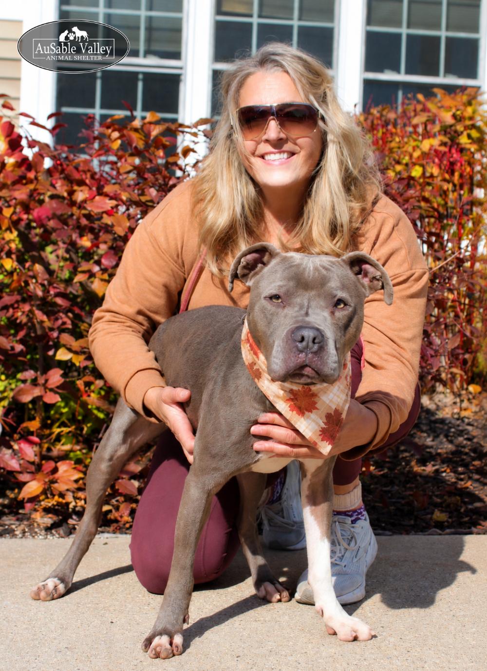 Enlarge Layla, a Adoptable mixed breed in Grayling, MI image 5/6