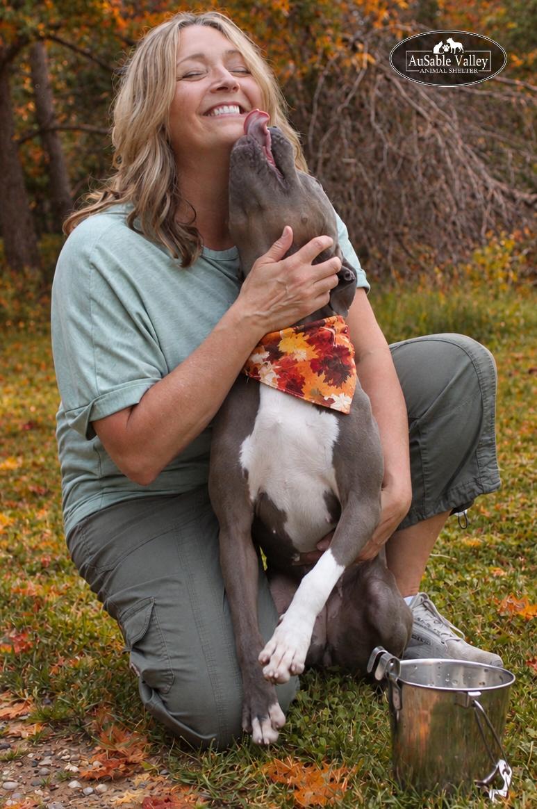 Enlarge Layla, a Adoptable mixed breed in Grayling, MI image 6/6