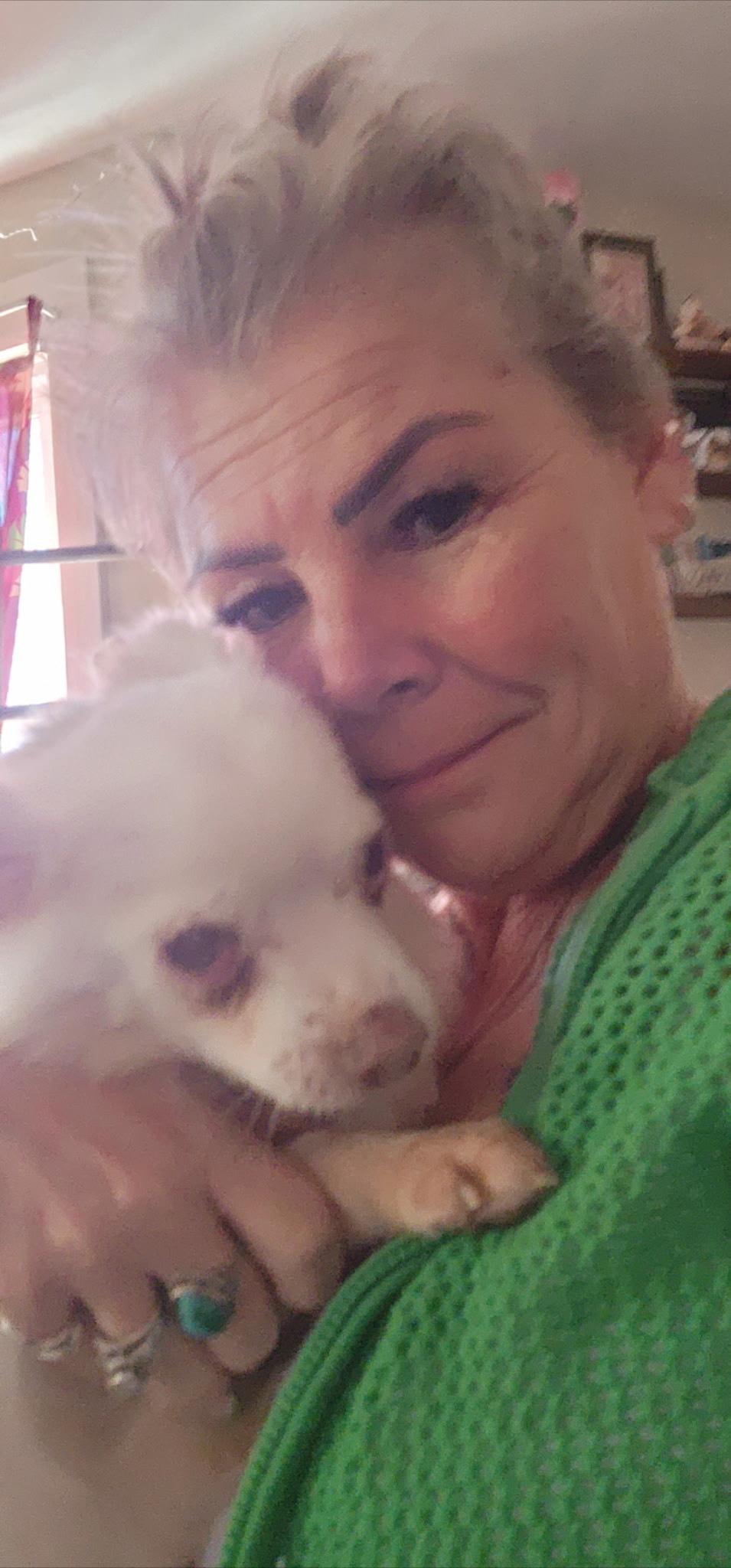 Baby, a Adoptable American Eskimo Dog in Egg Harbor City, NJ image 4/4