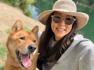 Enlarge Jaco, a ADOPTABLE Jindo in Oakland, CA image 4/6