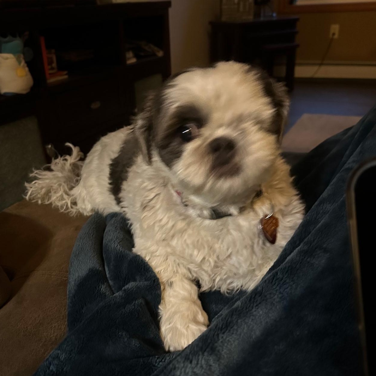 Agnes, Senior Female unknown