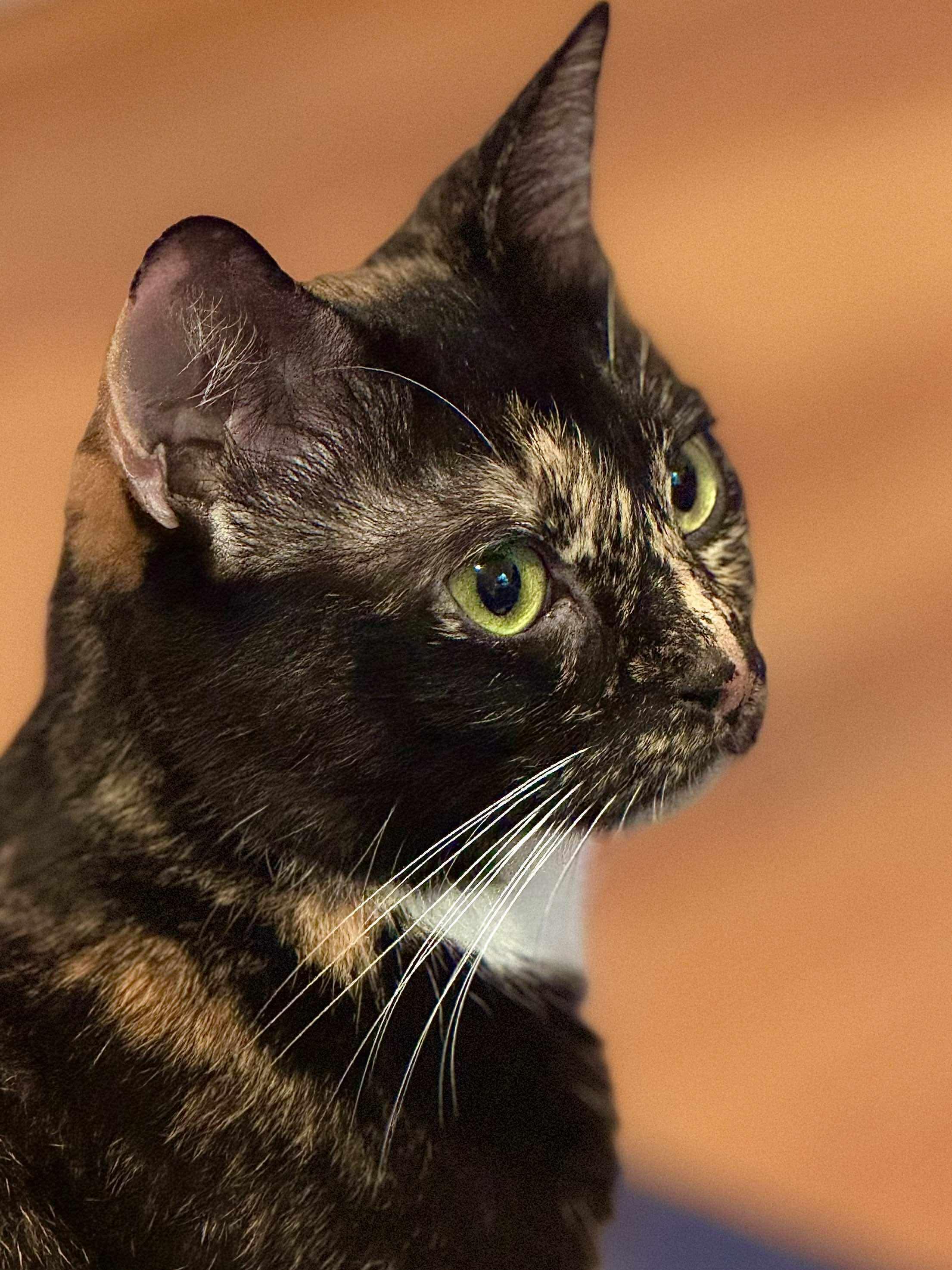Ellie