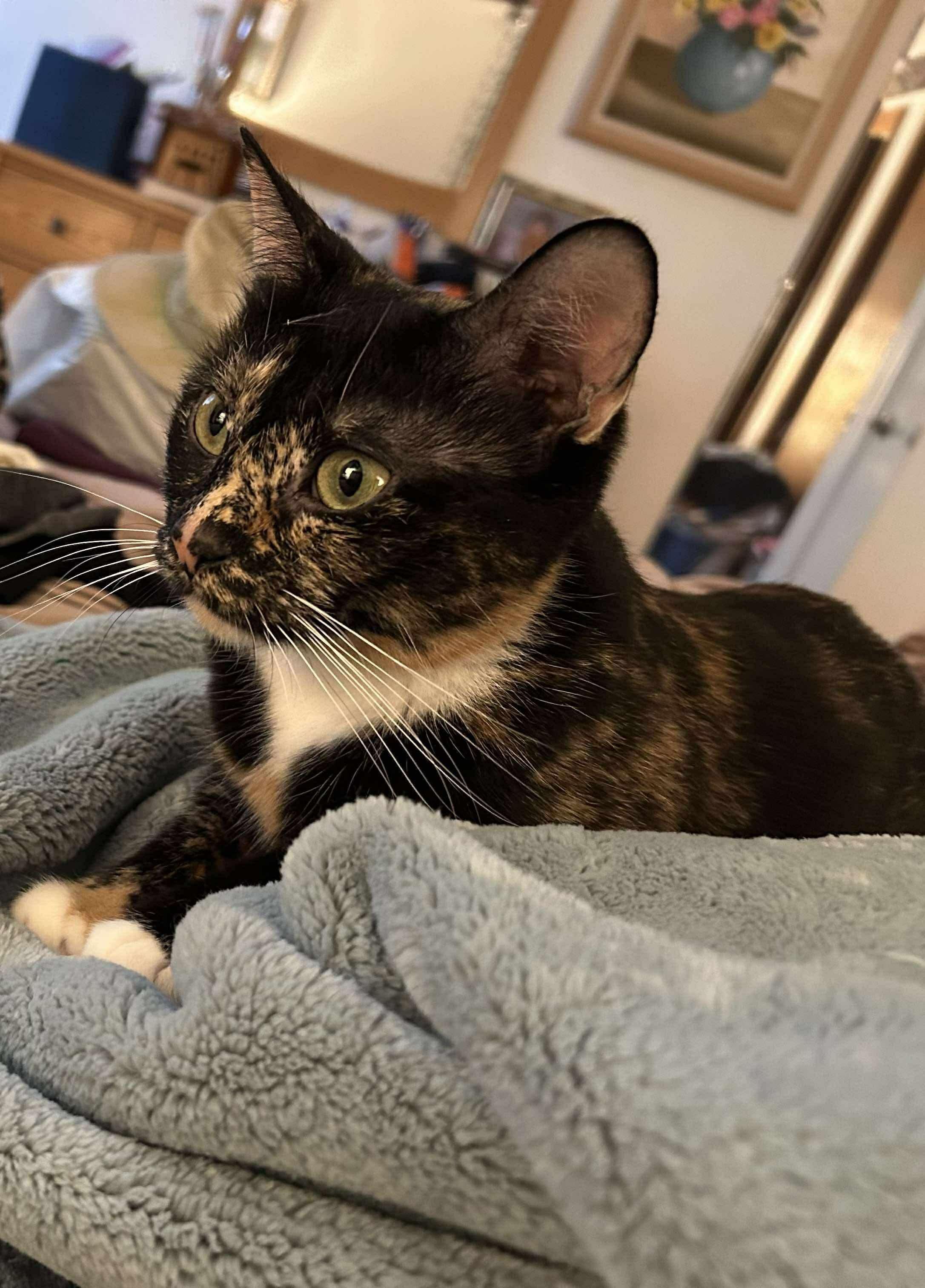 Ellie