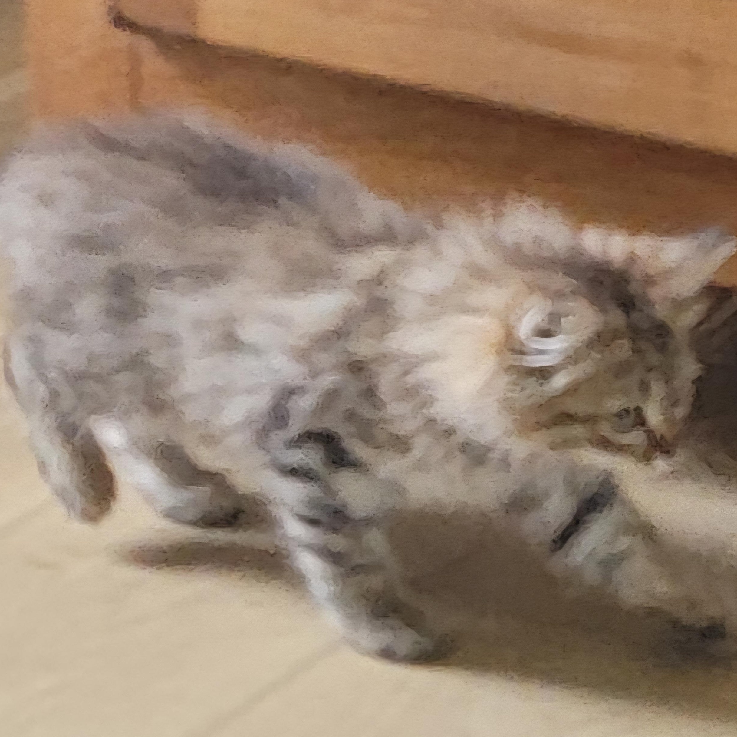 Enlarge Carmel, an adoptable Domestic Long Hair in Wyandotte, MI image 3/6