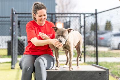 Chula — thumbnail 2