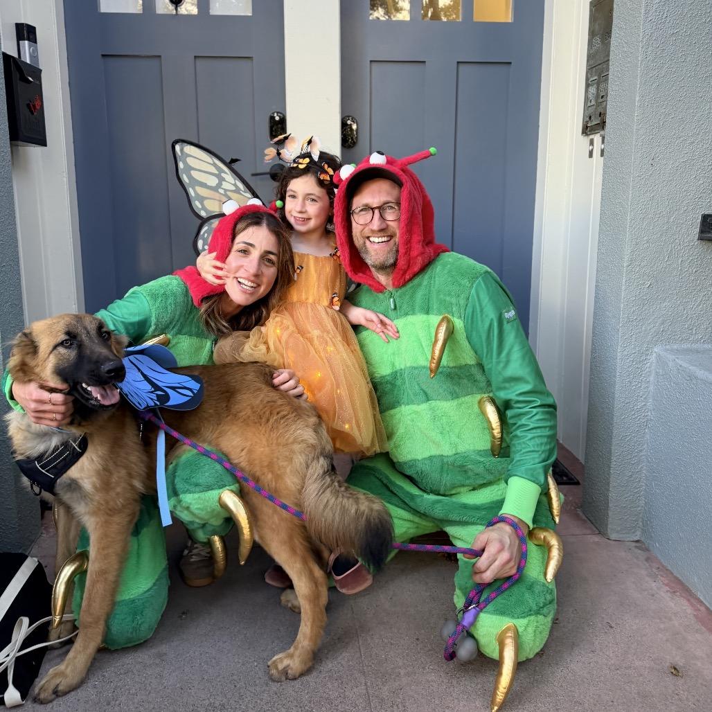 Enlarge Lightning, a Adoptable mixed breed in San Francisco, CA image 1/6