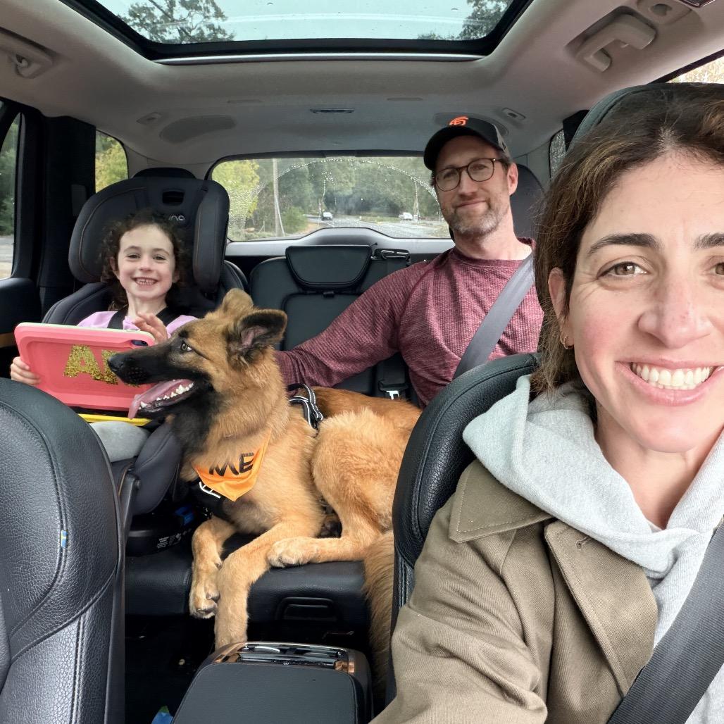 Enlarge Lightning, a Adoptable mixed breed in San Francisco, CA image 3/6