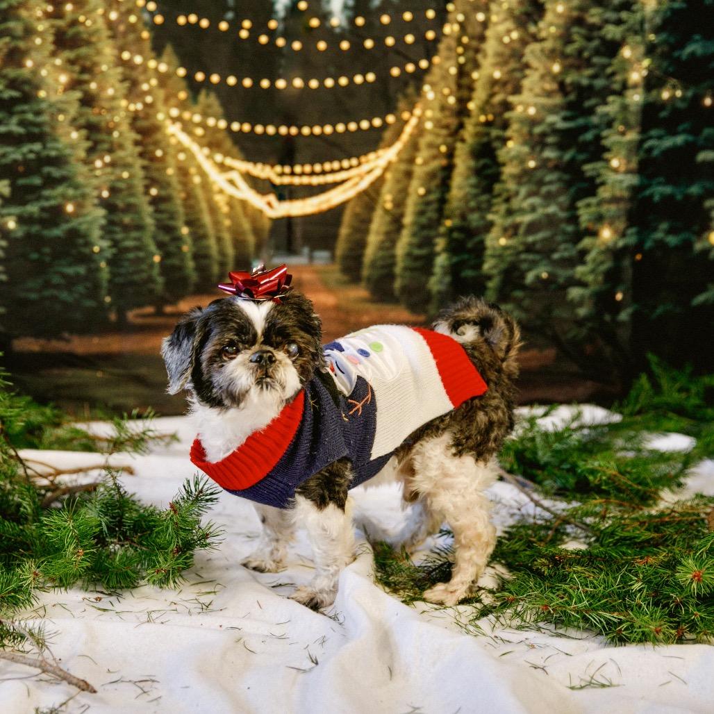 Blizzard — thumbnail 2