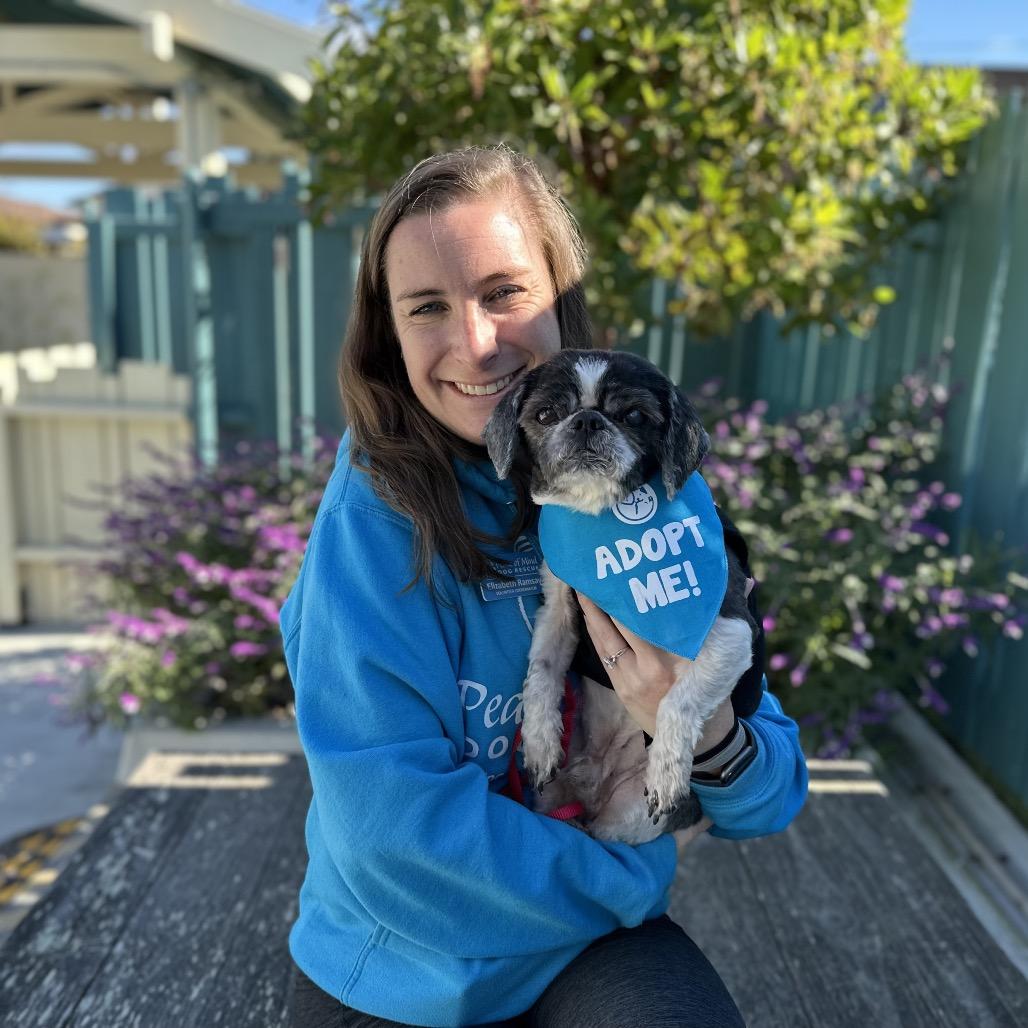 Blizzard — thumbnail 3