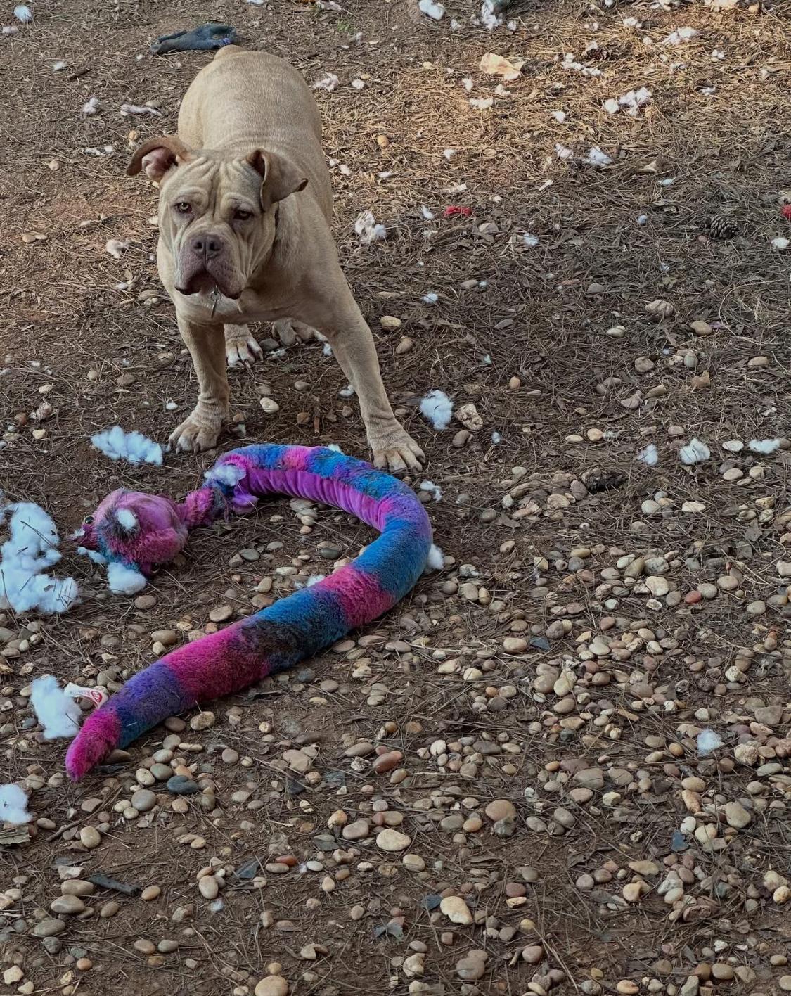 Hooch