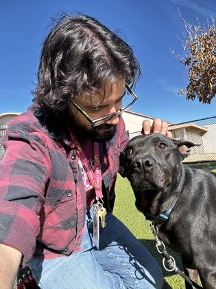 Enlarge Tick, a Adoptable mixed breed in Wichita, KS image 3/6