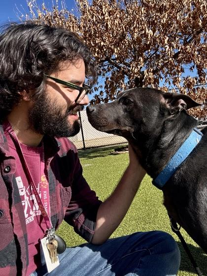 Enlarge Tick, a Adoptable mixed breed in Wichita, KS image 6/6