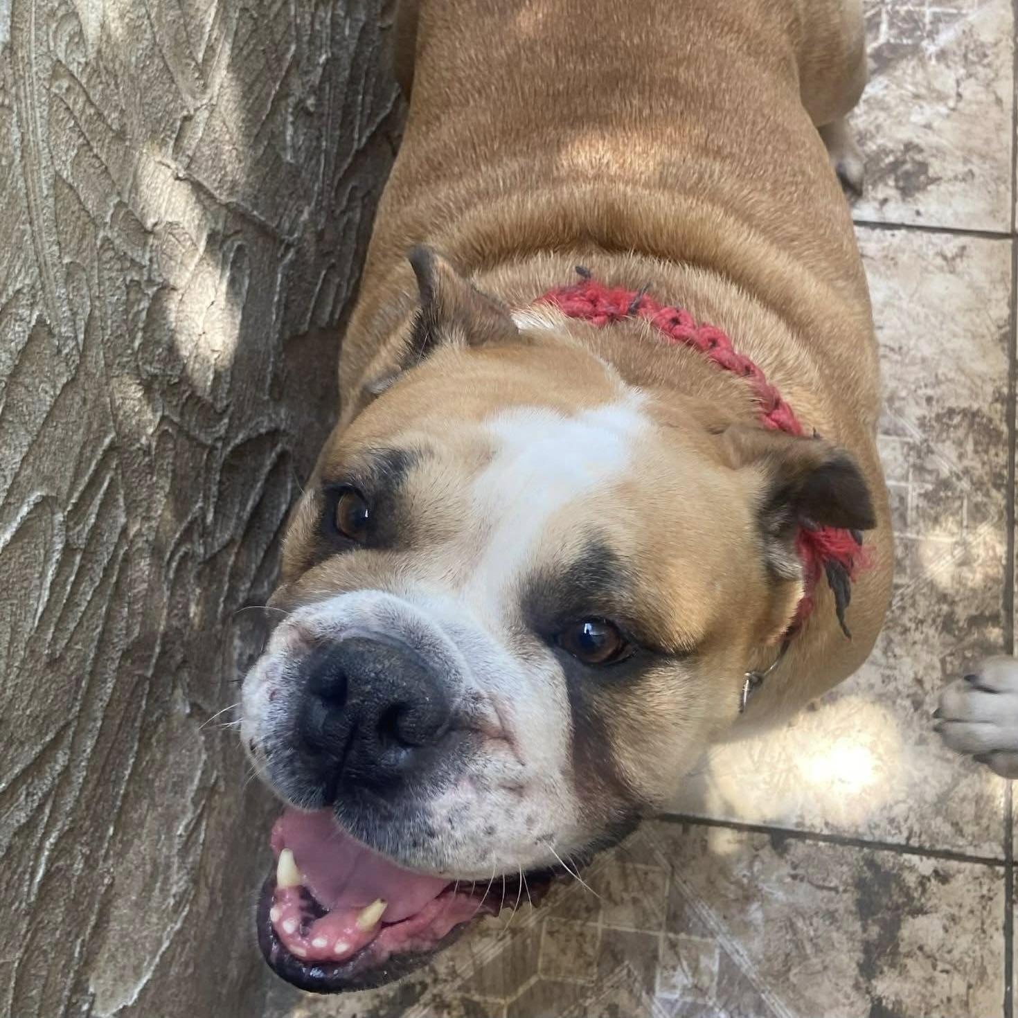 Cory (20260301-03) — thumbnail 2