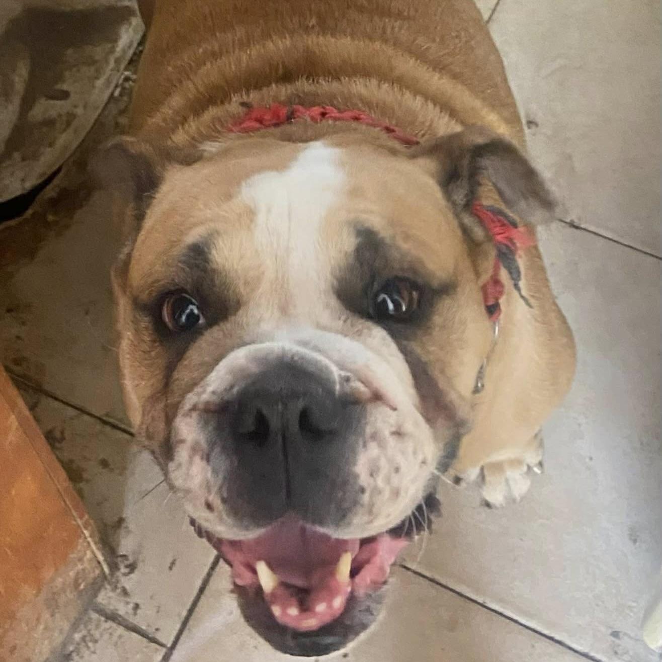 Cory (20260301-03) — thumbnail 3