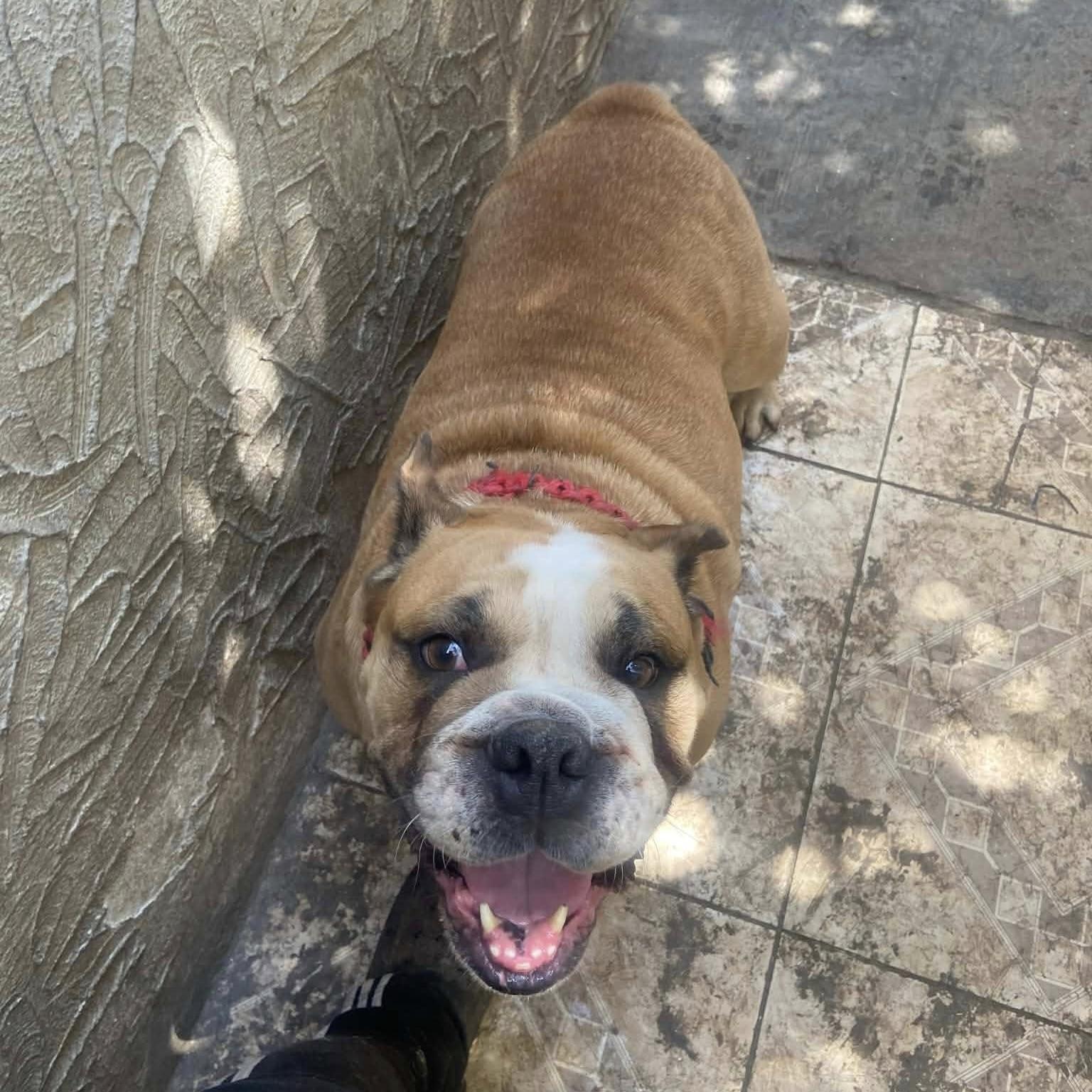 Cory (20260301-03) — thumbnail 4