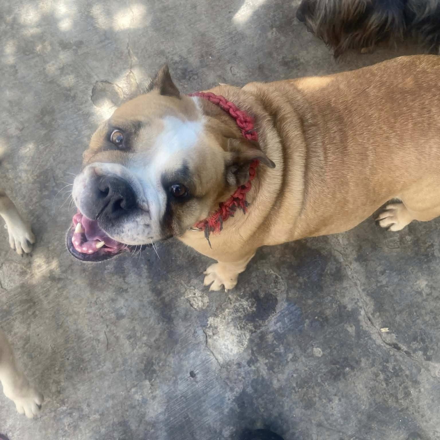 Cory (20260301-03) — thumbnail 5