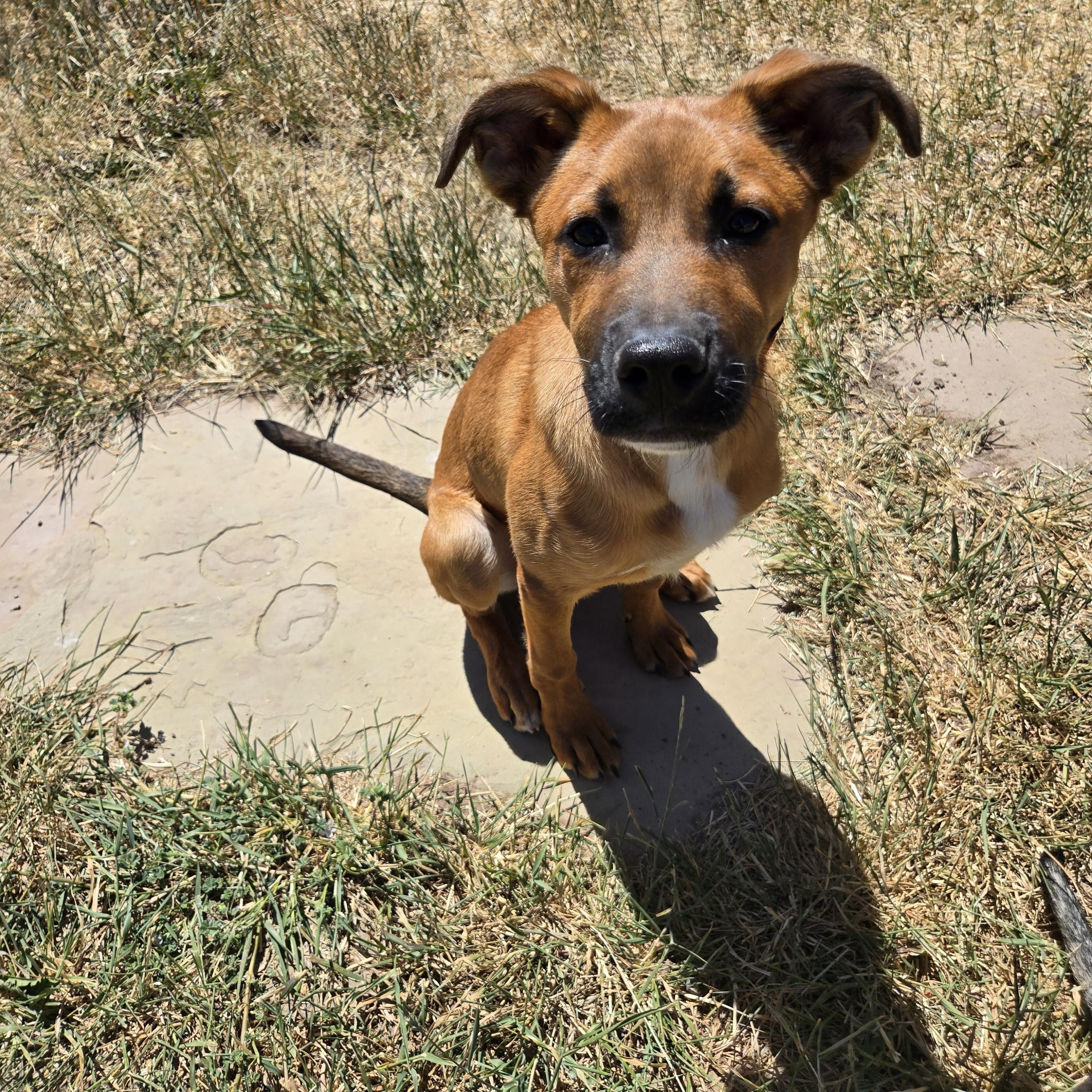 Rusty photo 2