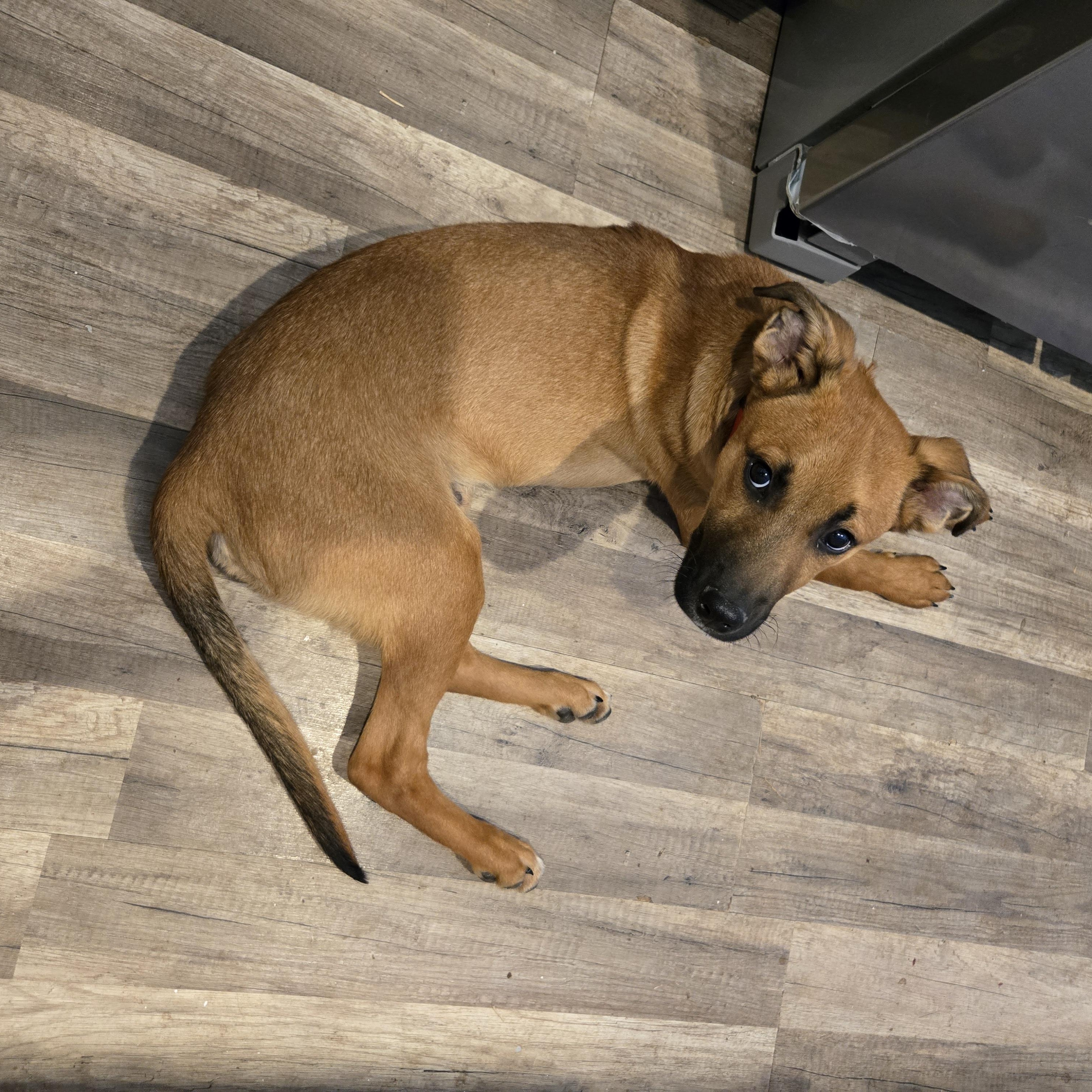 Rusty photo 4