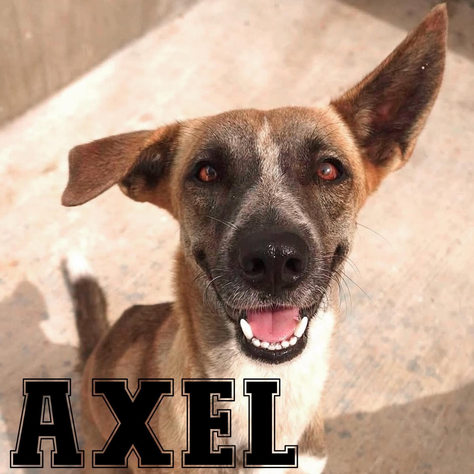 Axel