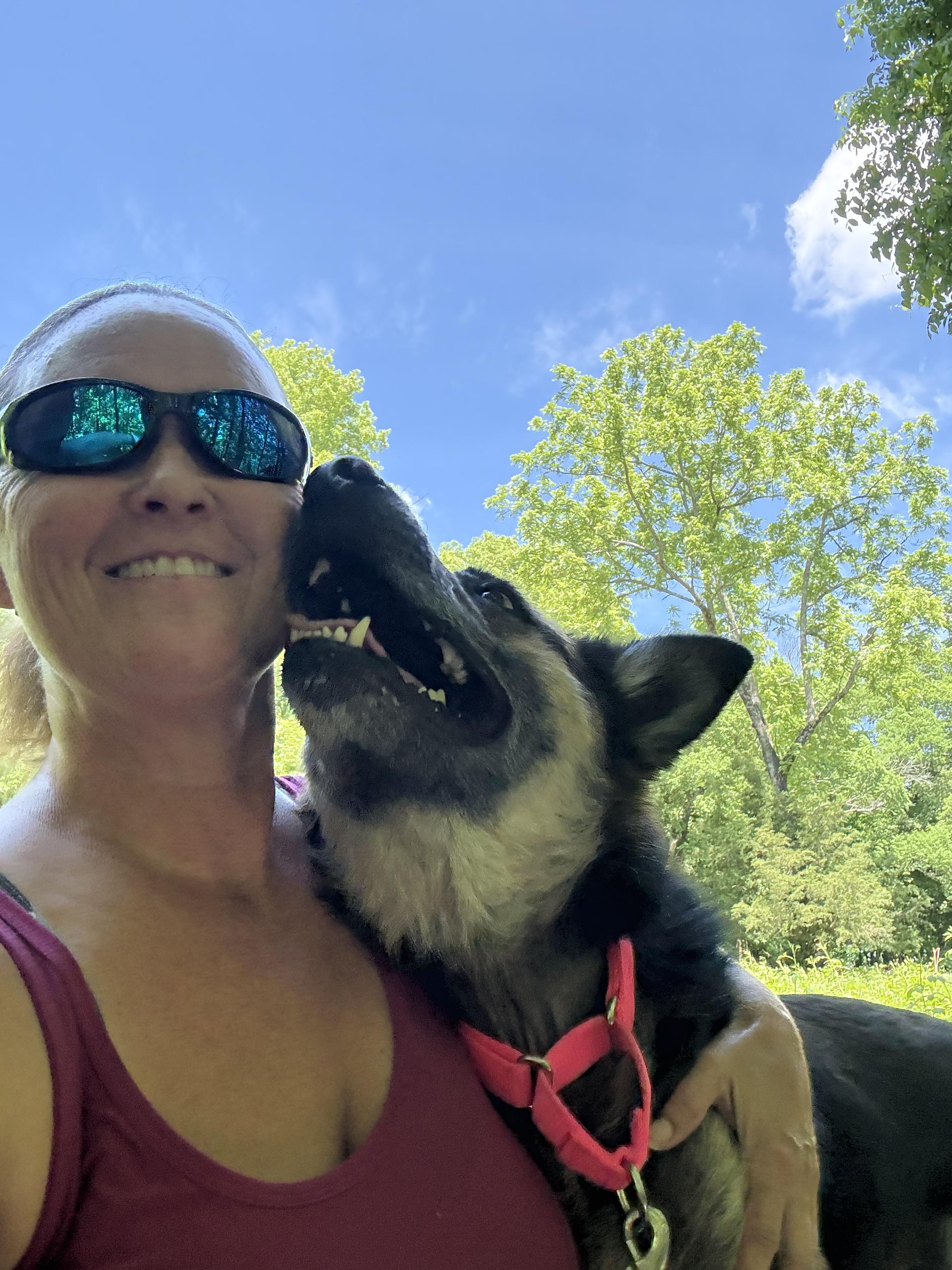 Enlarge Annabelle, a ADOPTABLE German Shepherd Dog in Eagleville, TN image 2/3