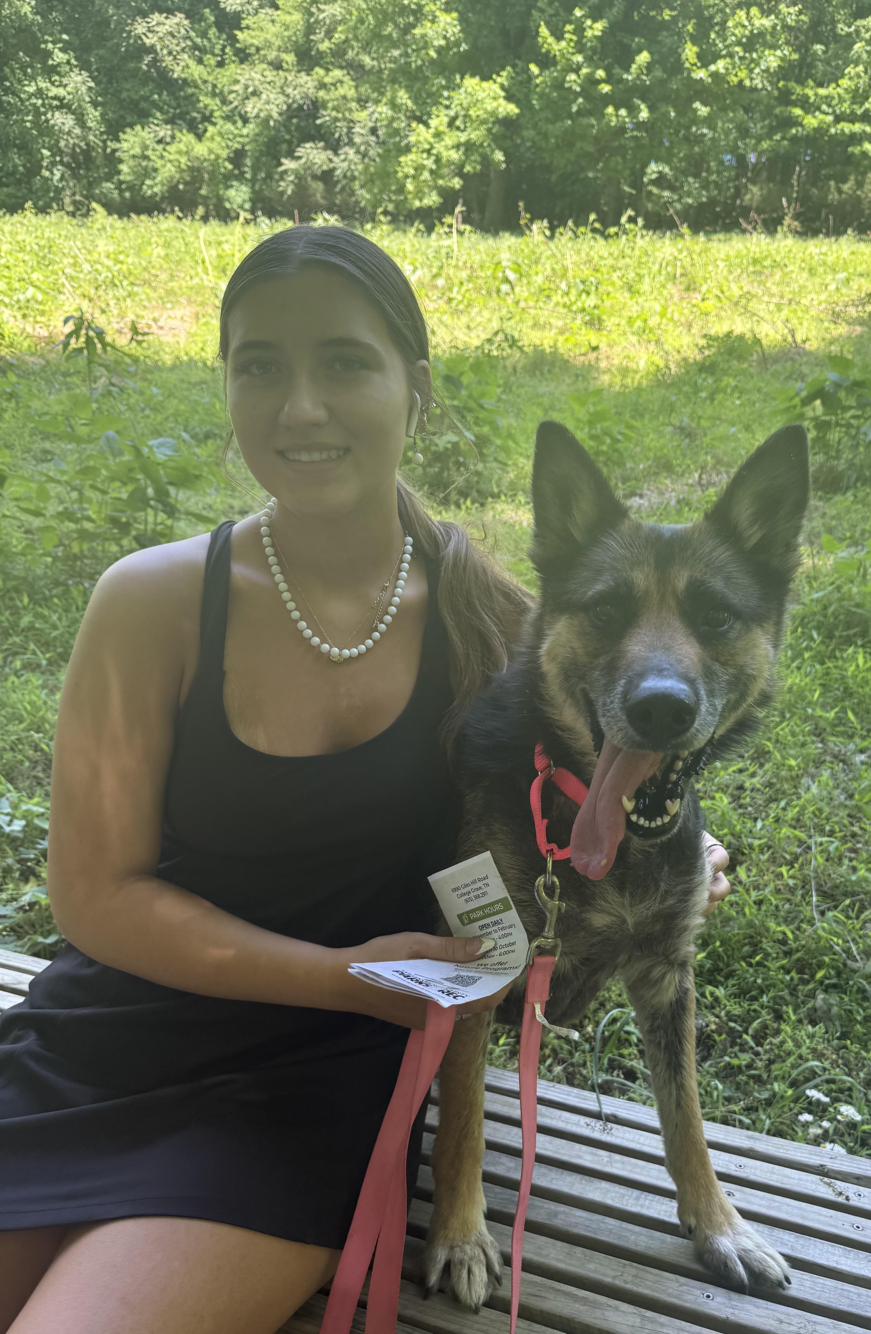 Enlarge Annabelle, a ADOPTABLE German Shepherd Dog in Eagleville, TN image 3/3