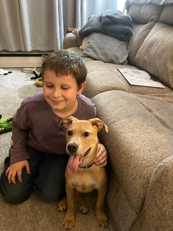 Enlarge Scrappy Doo, an adopted mixed breed in Blue Bell, PA image 2/6