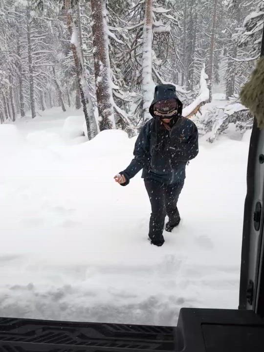 Enlarge Zion, a ADOPTABLE mixed breed in Saratoga Springs, NY video 3/6