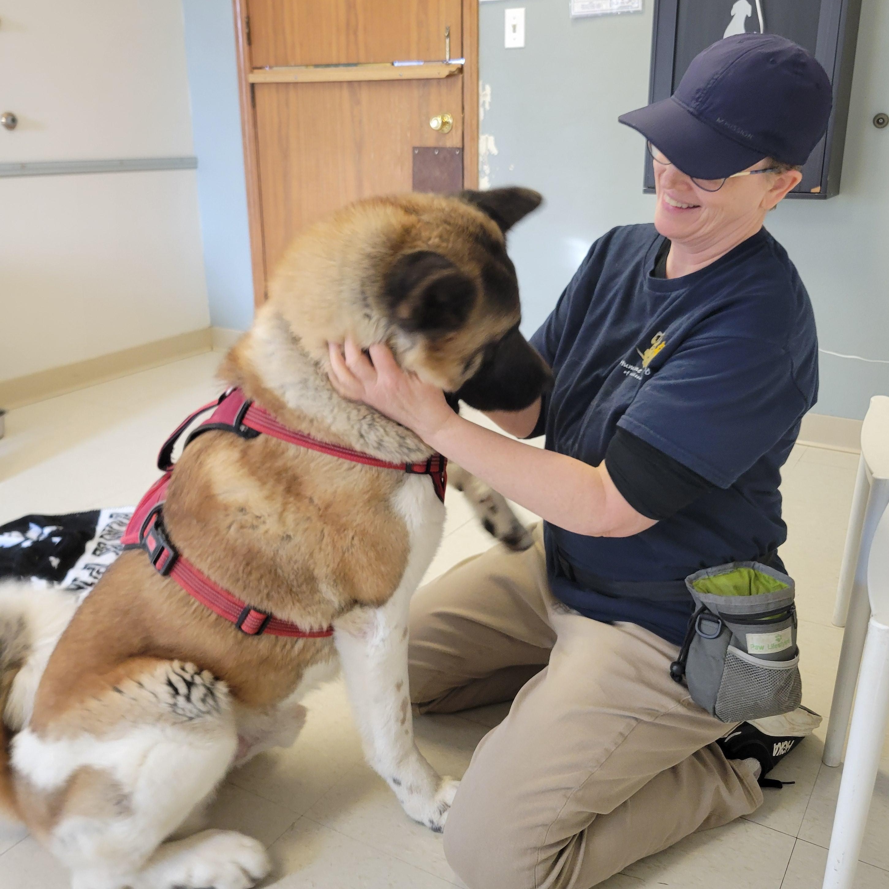 Enlarge Grimswick , a Adoptable mixed breed in West Jefferson, OH image 1/6