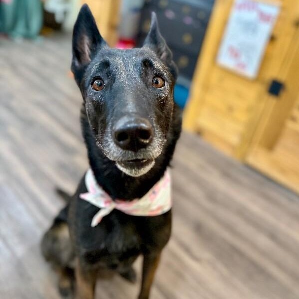 Wendy the Wonderful — thumbnail 3