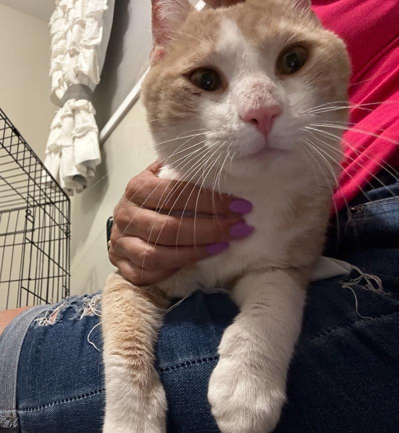 Popsicle ( affectionate & friendly)
