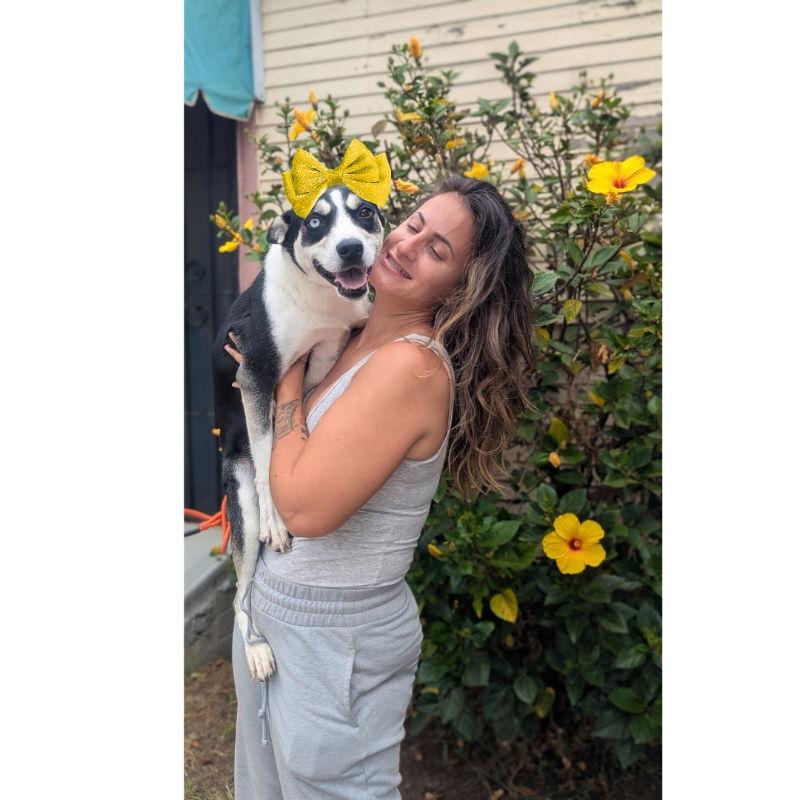 Enlarge Molly, a Adoptable mixed breed in San Diego, CA image 2/3