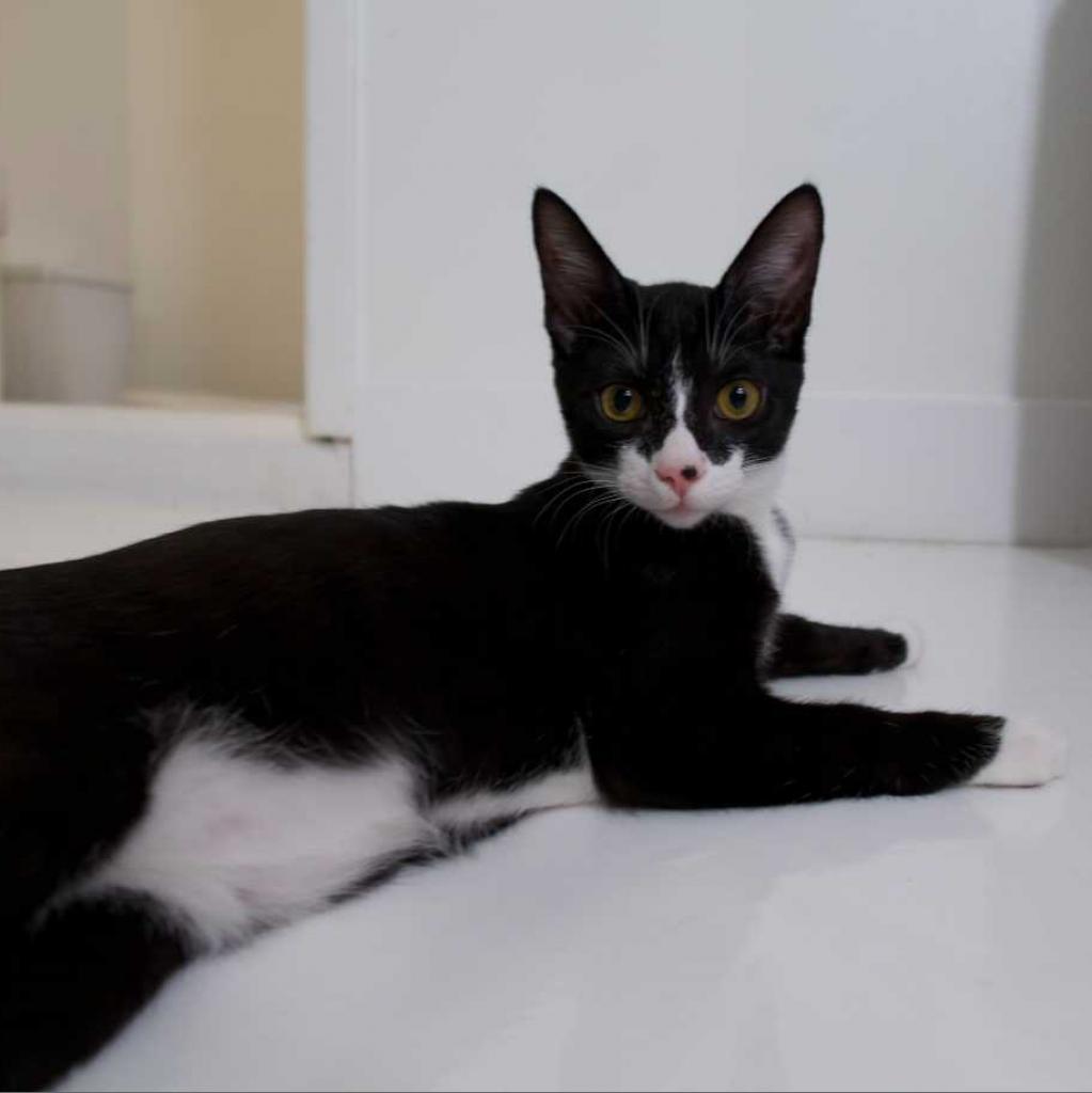 Sapphire — thumbnail 2