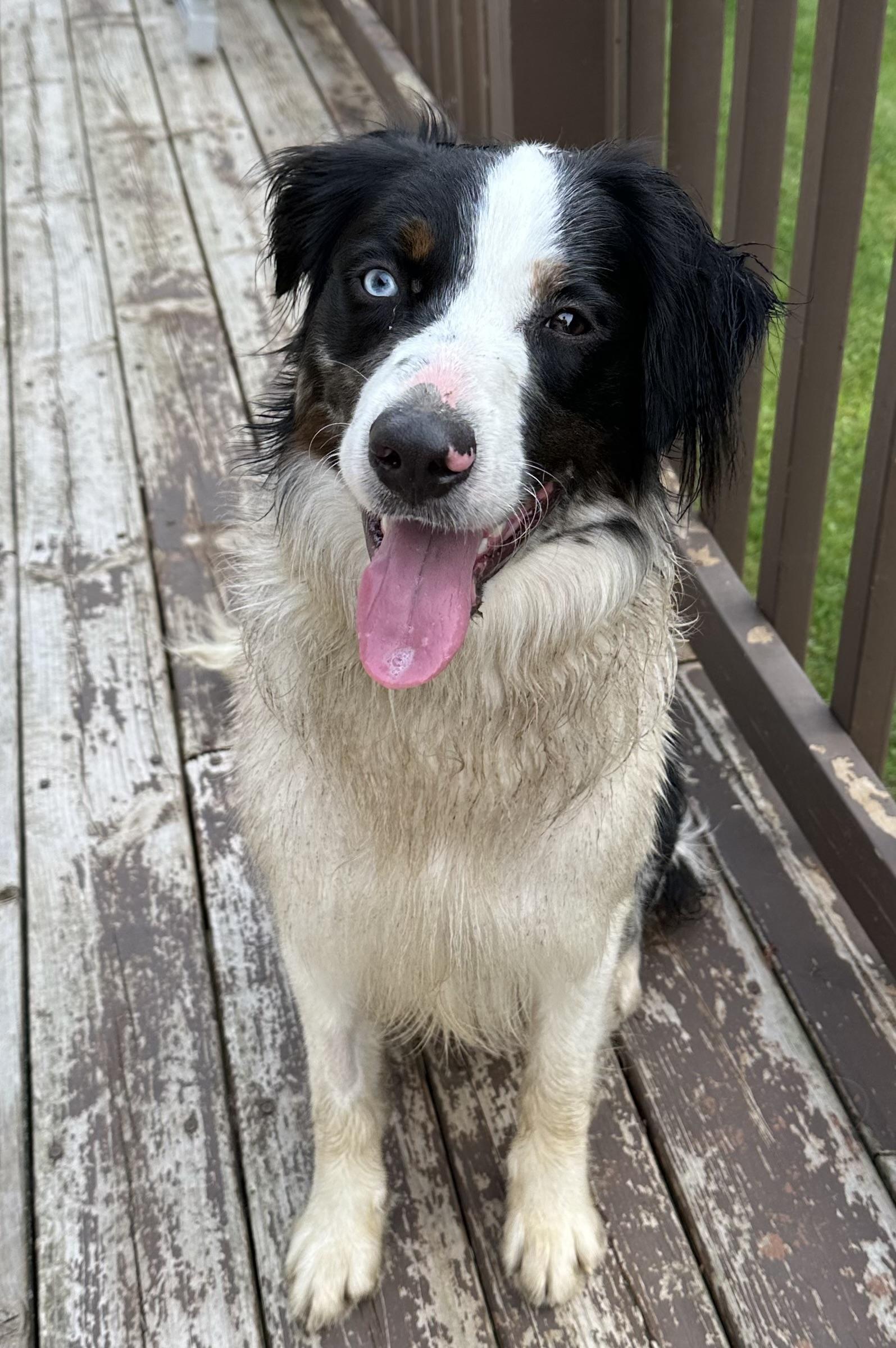 Leroy