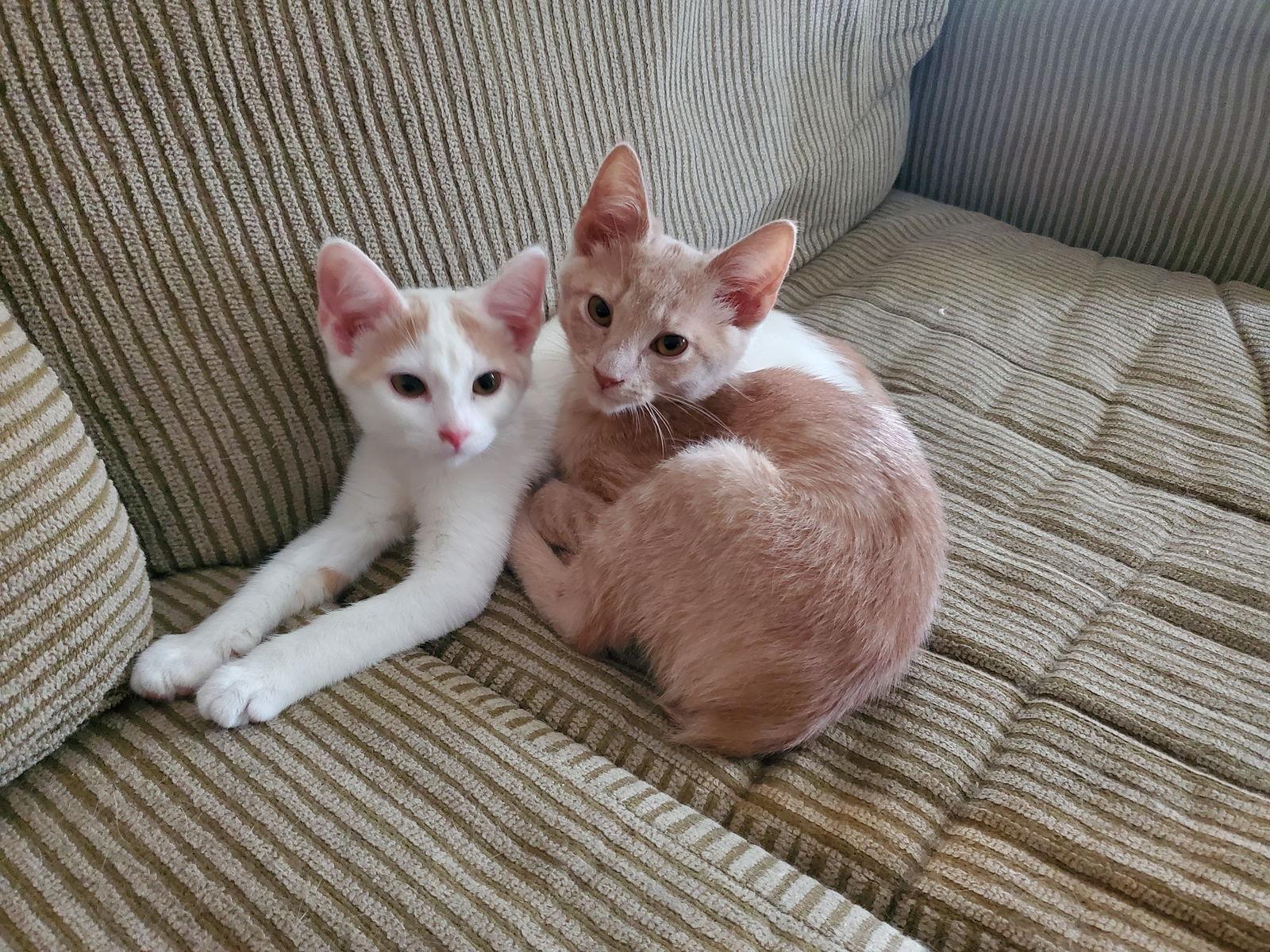 Magnificent thumbnail 2