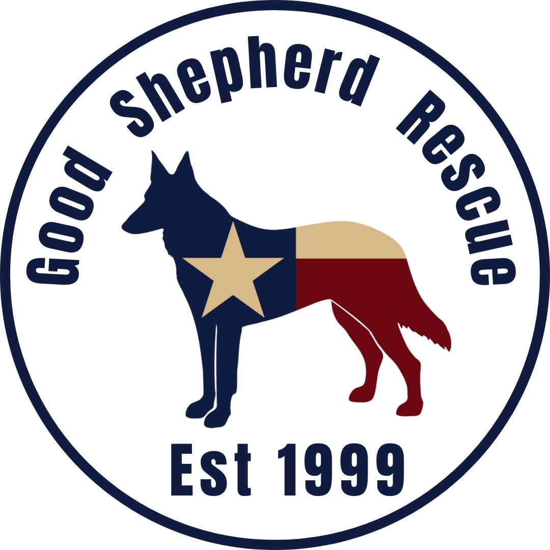* Good Shepherd Rescue - Facebook Albums *, Adoptable, Young Female German Shepherd Dog.