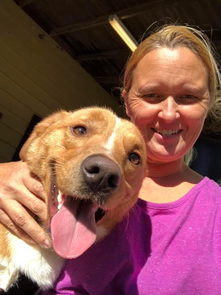 Lucky, a Adoptable mixed breed in Eagleville, TN image 4/6