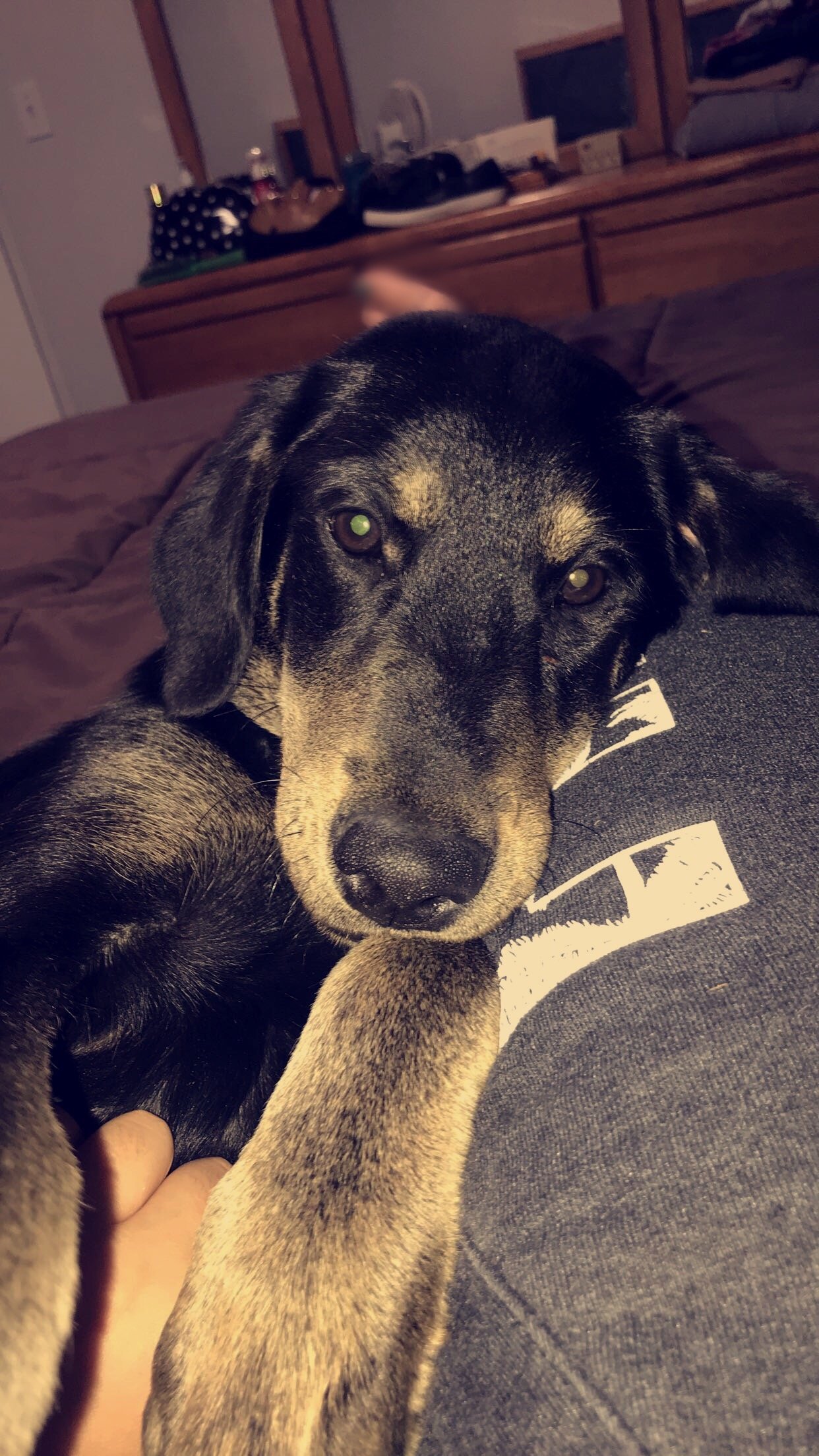 Ellie Benelli 2