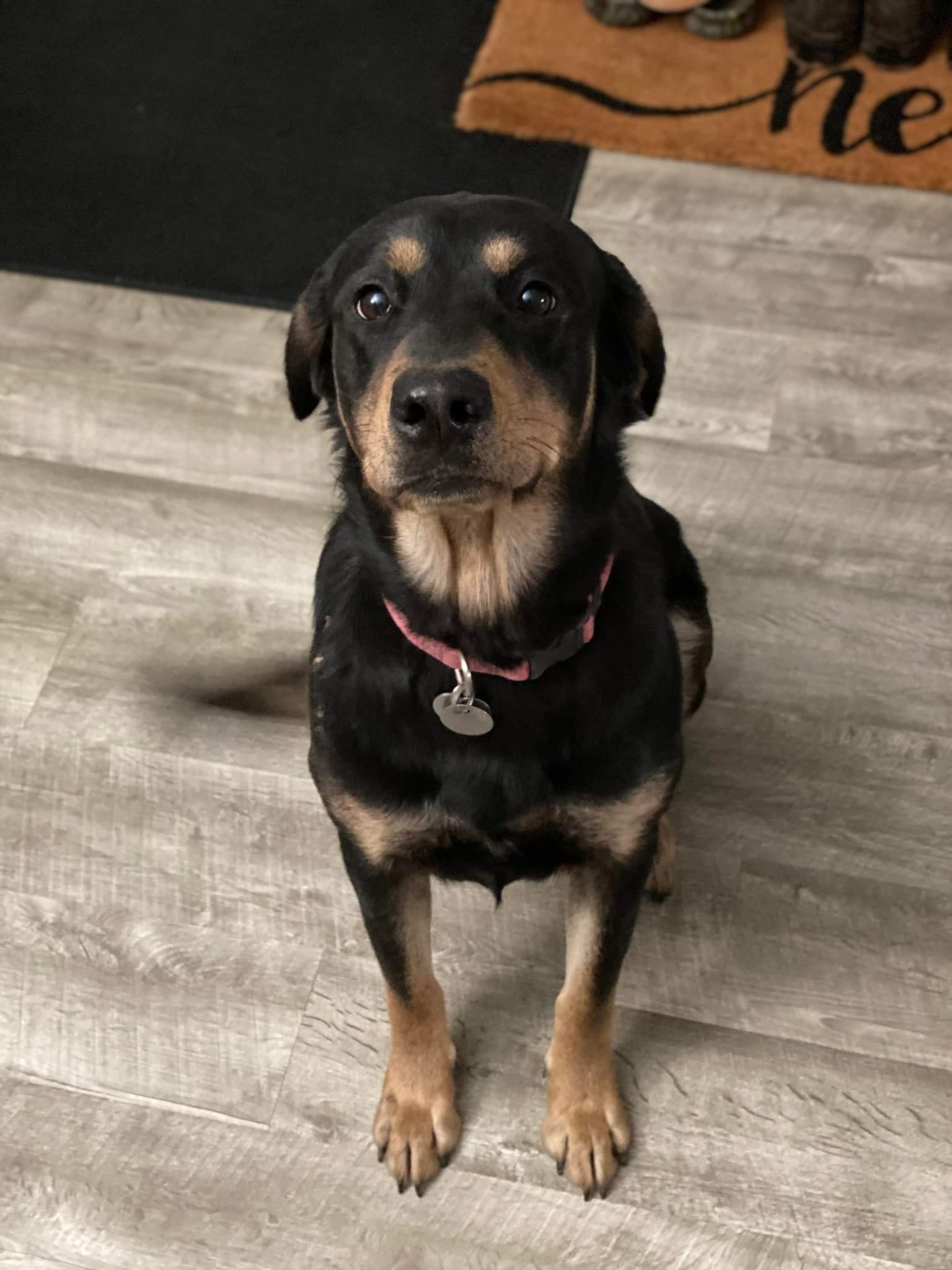 Ellie Benelli 3