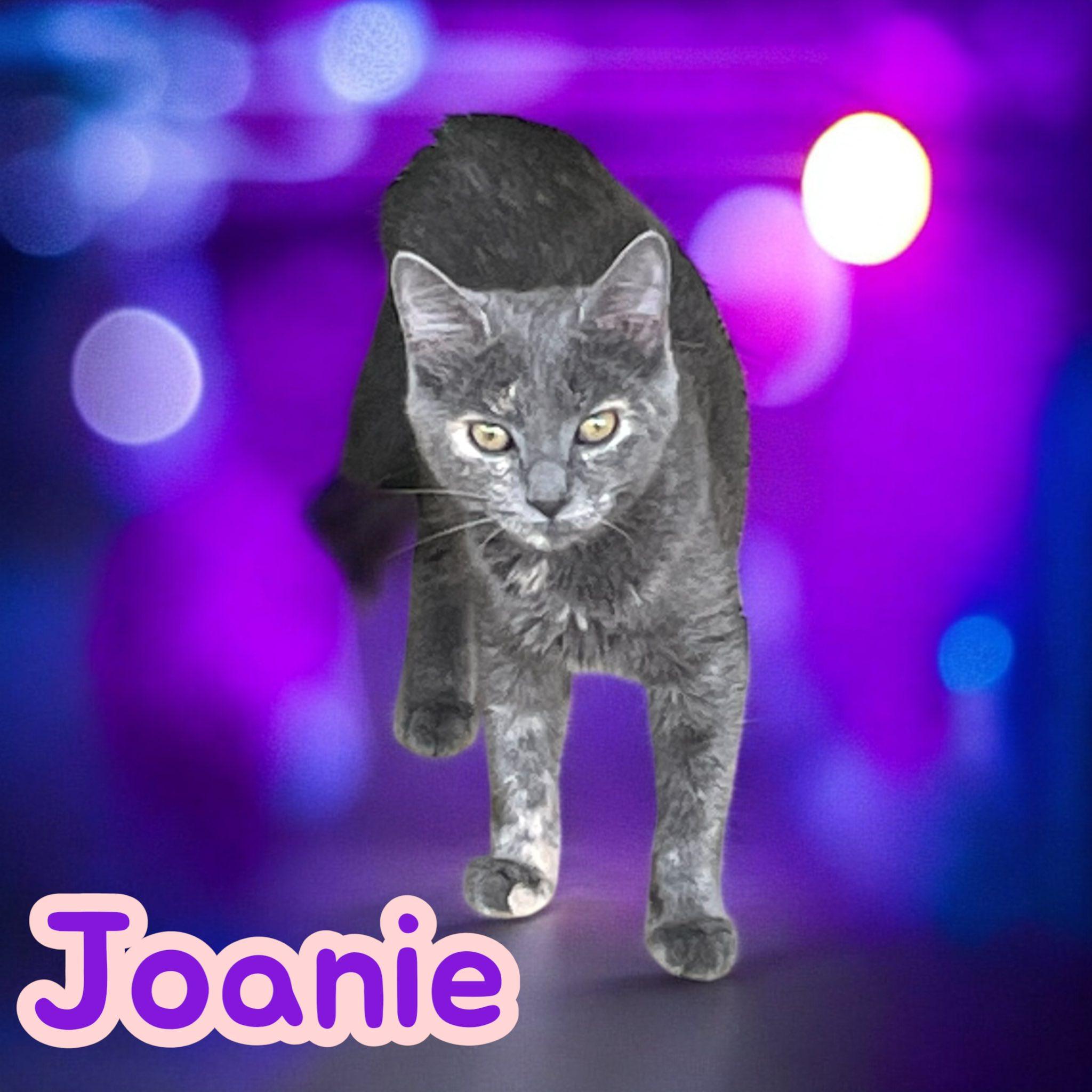 Joanie