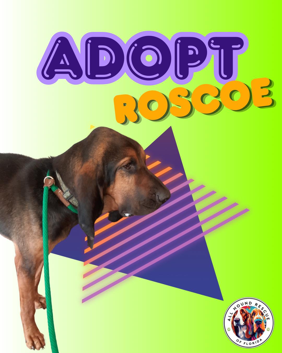 Roscoe thumbnail 5