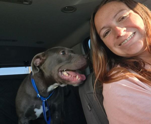 Chavo, a Adoptable mixed breed in Tulare, CA image 3/6