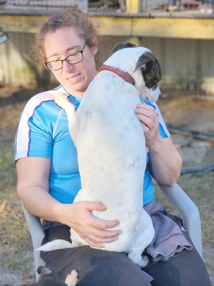 Rosie, a ADOPTABLE mixed breed in Camden, SC image 2/6