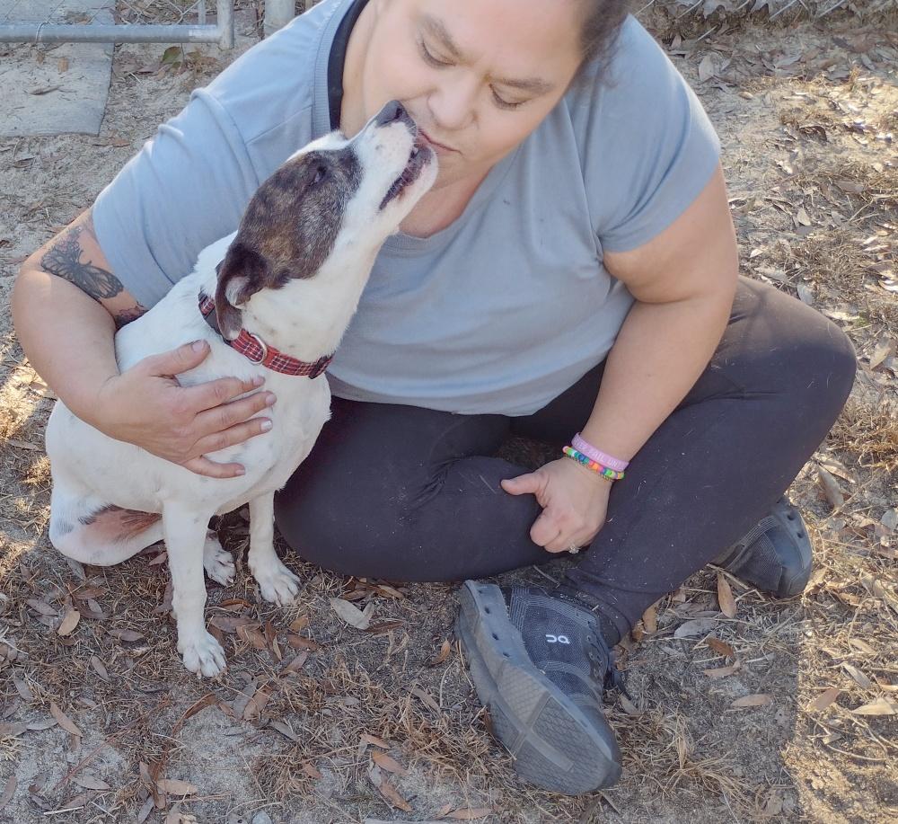 Rosie, a ADOPTABLE mixed breed in Camden, SC image 5/6
