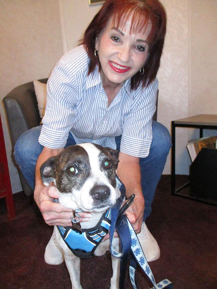 Enlarge Rosie, an adopted mixed breed in Camden, SC image 1/6