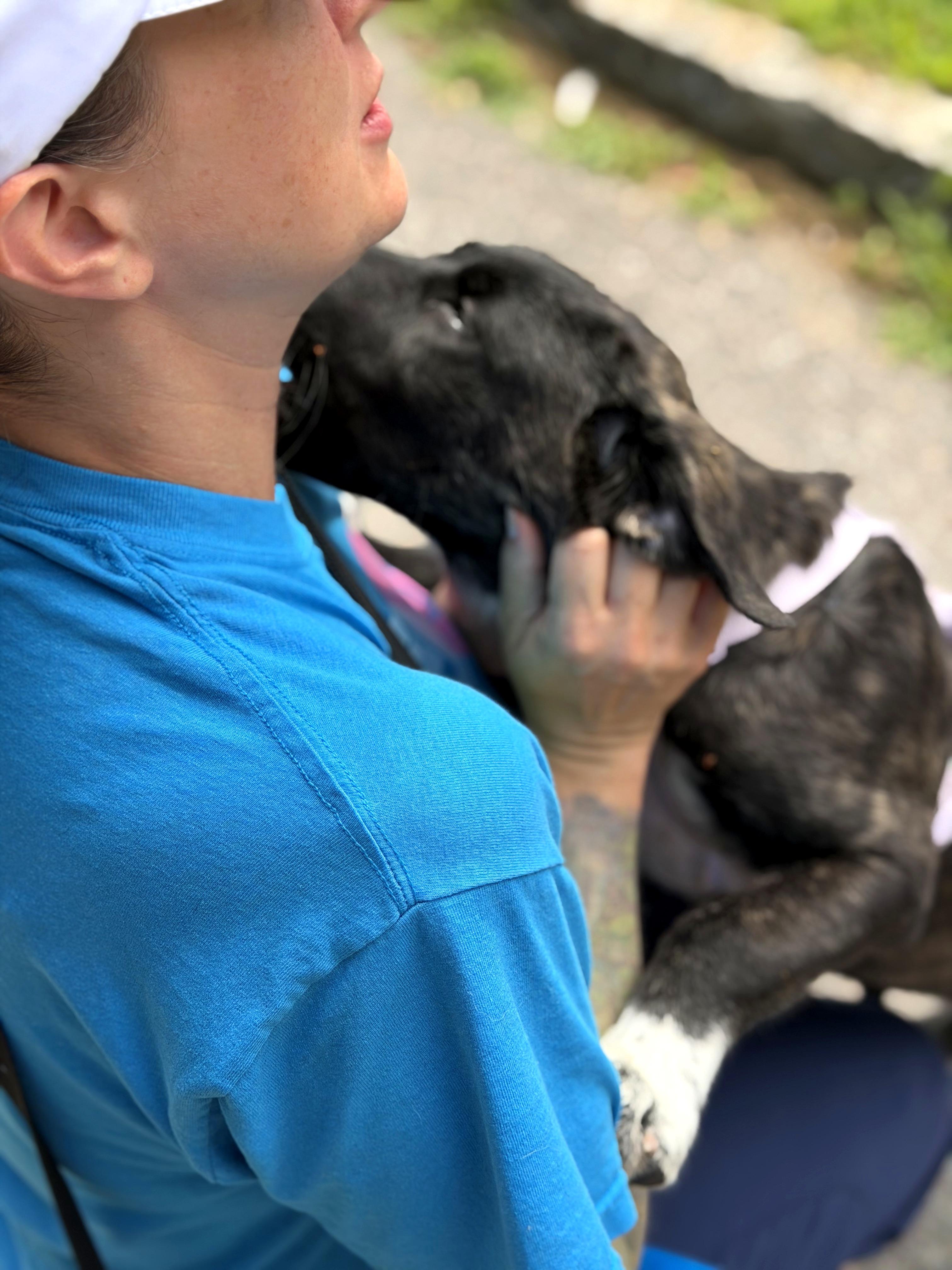 Enlarge Thea, an adopted mixed breed in Petersburg, VA image 6/6
