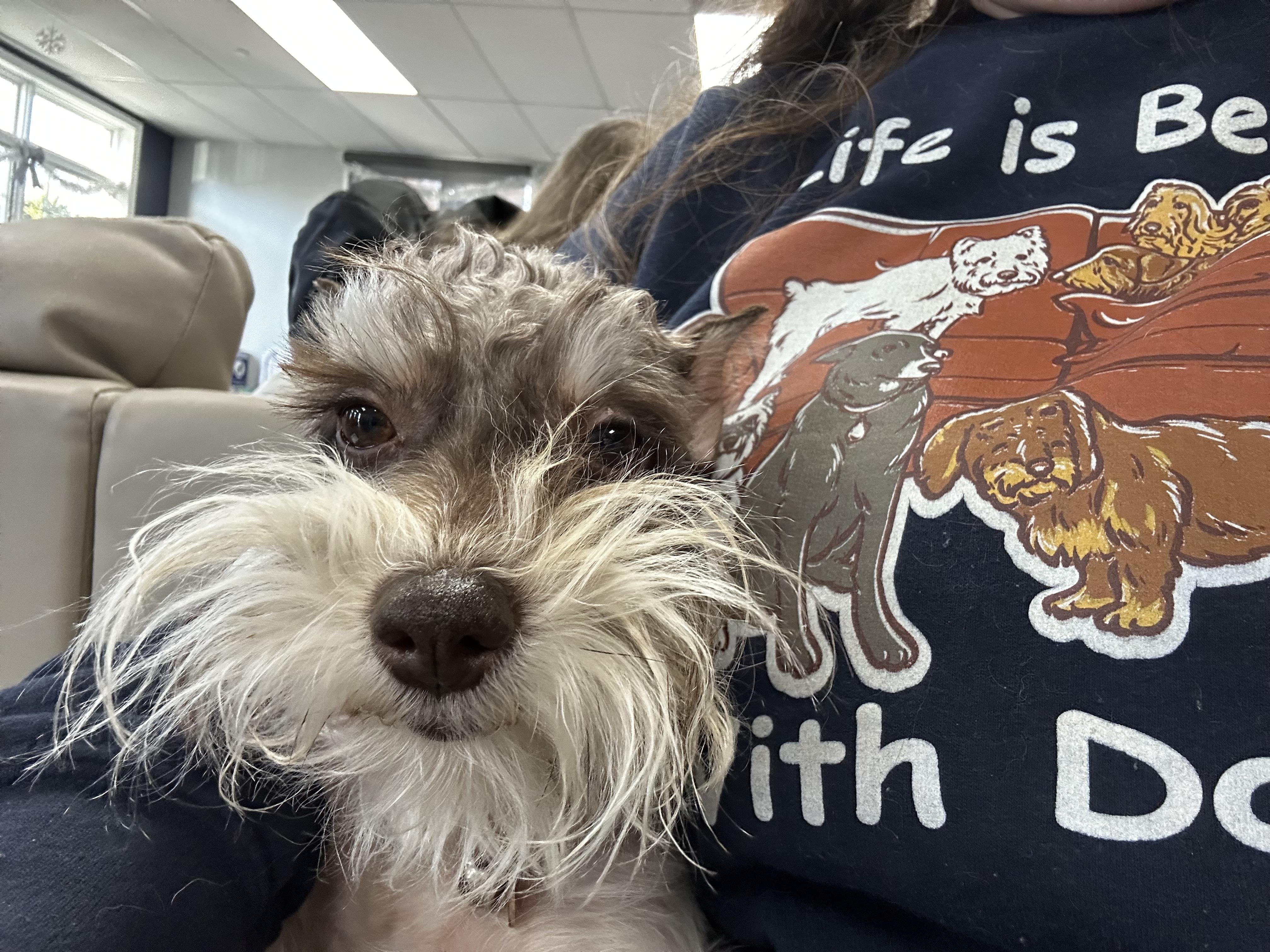 Chloeepileptic thumbnail 2