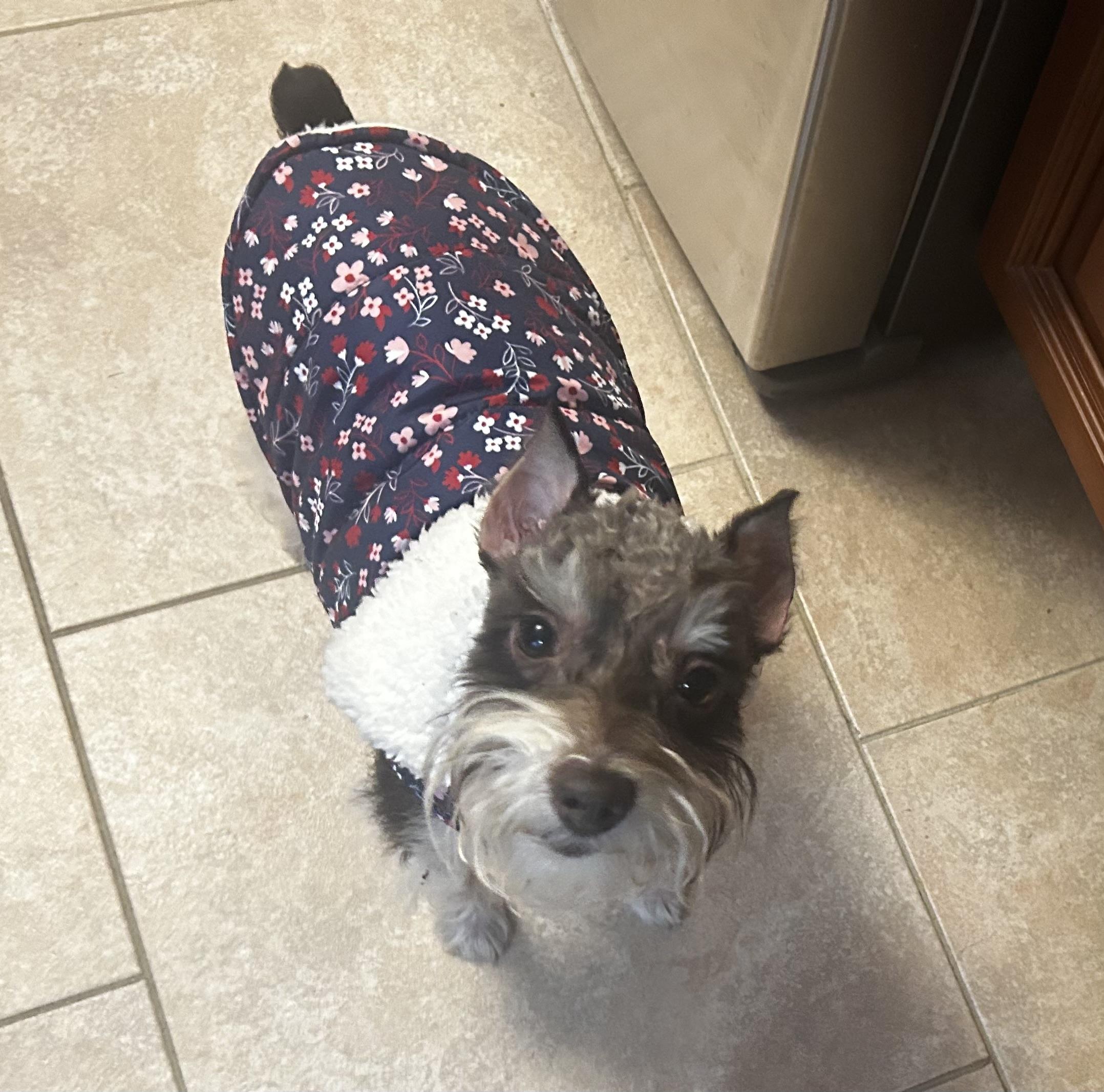 Chloeepileptic thumbnail 3