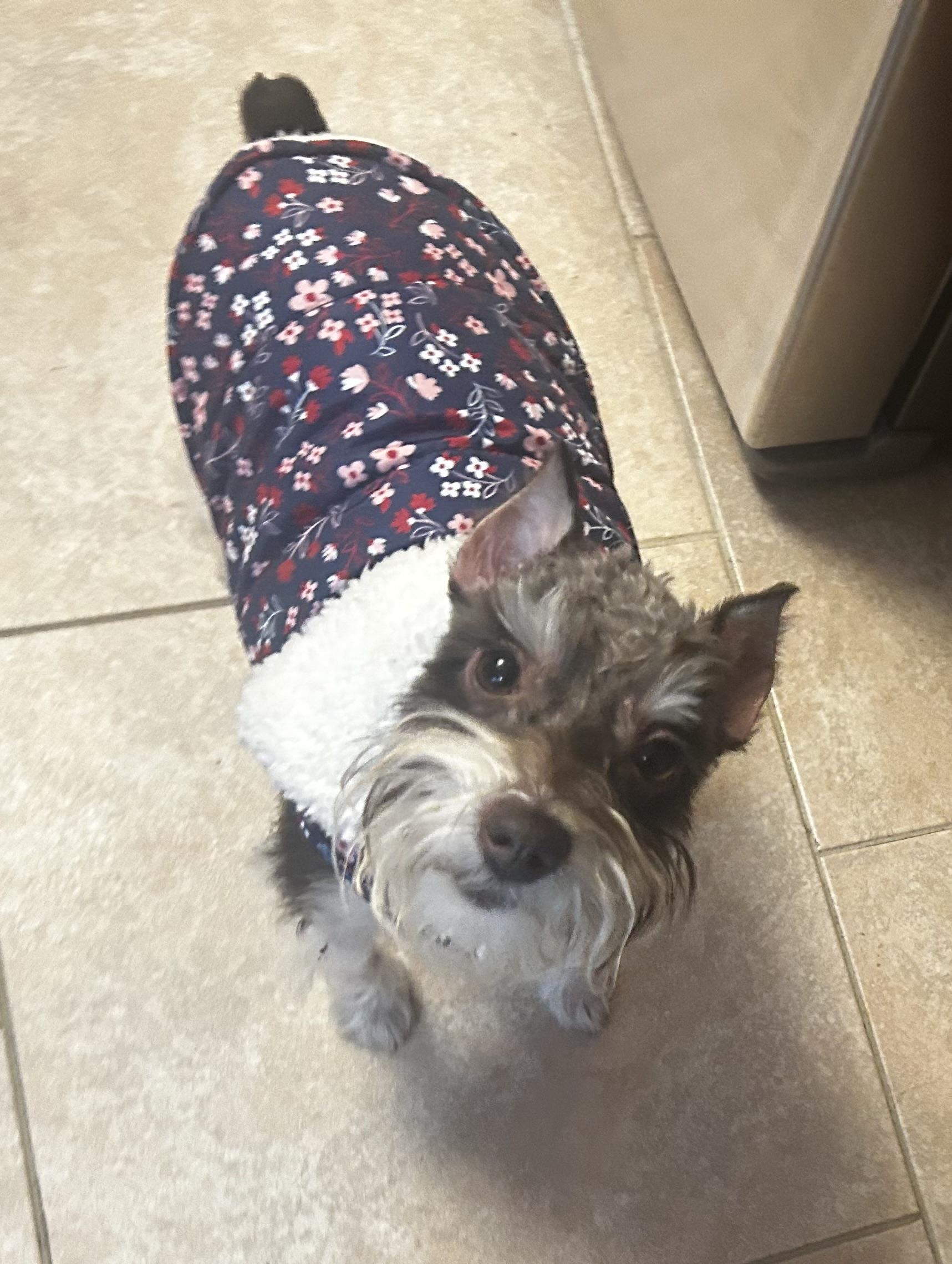 Chloeepileptic thumbnail 4