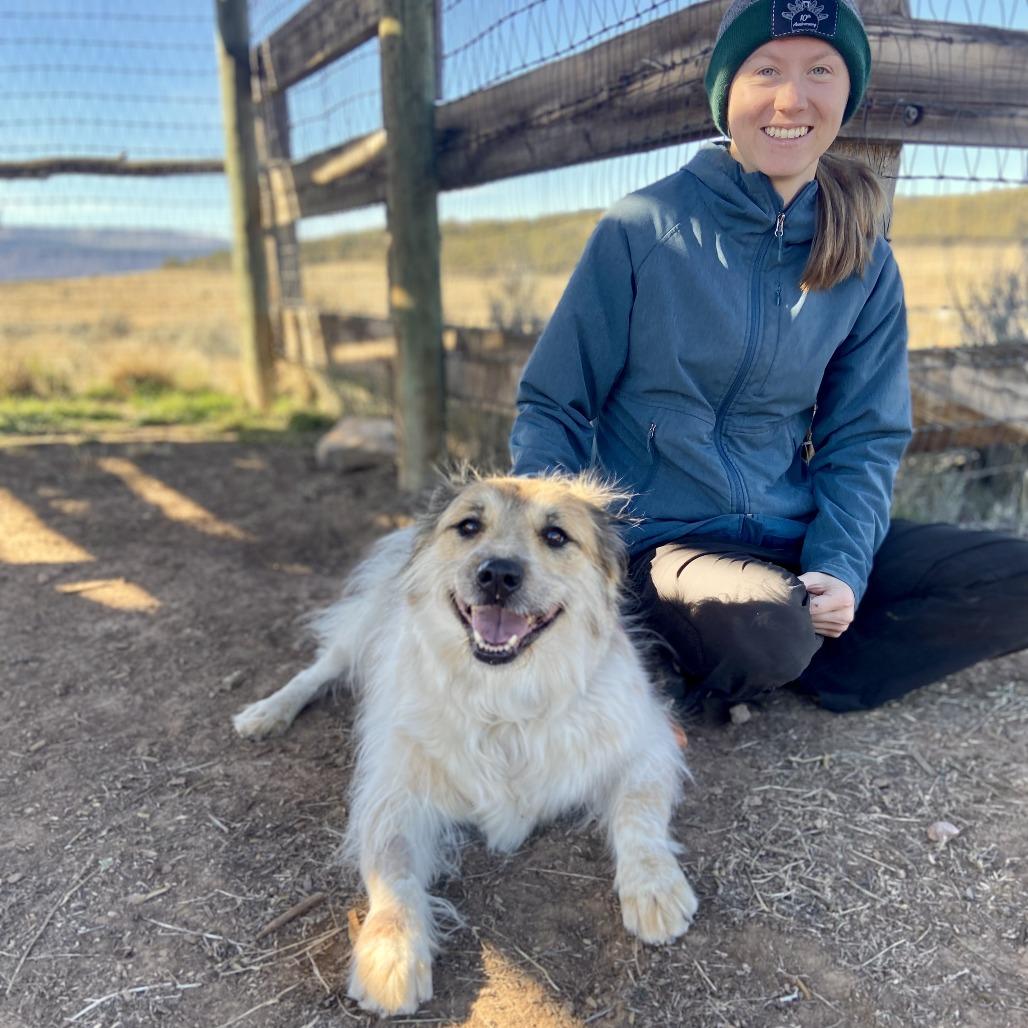 Enlarge Hermione, a Adoptable mixed breed in Glenwood Springs, CO image 5/6